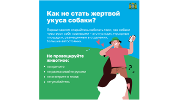 Риск травмирования в результате укуса собак Риск травмирования в результате укуса собак.