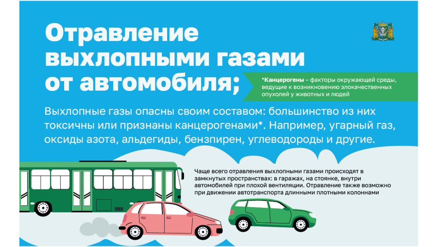 Риск отравления выхлопными газами от автомобиля Риск отравления выхлопными газами от автомобиля.