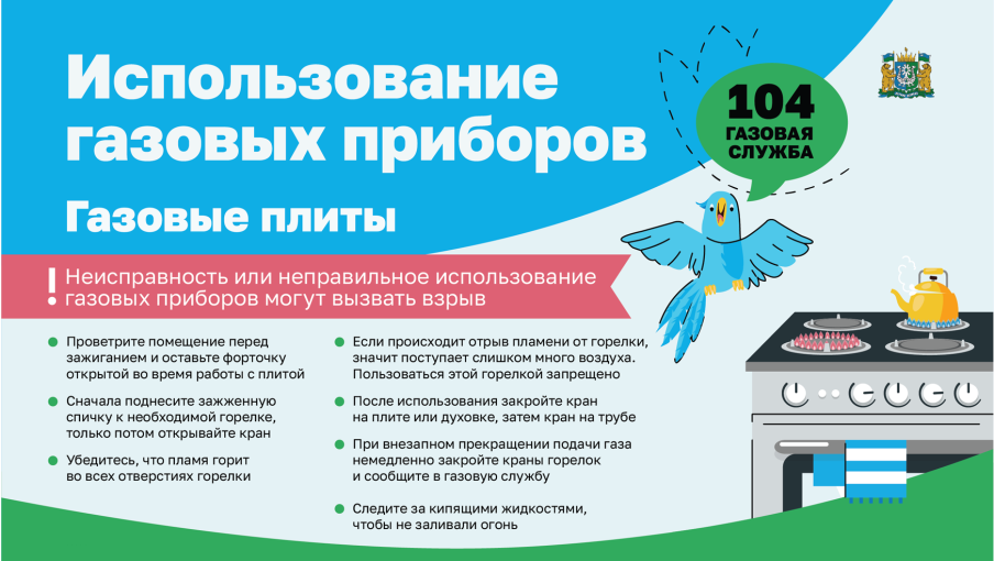 Риск для жизни и здоровья в результате использования газовых приборов Риск для жизни и здоровья в результате использования газовых приборов.