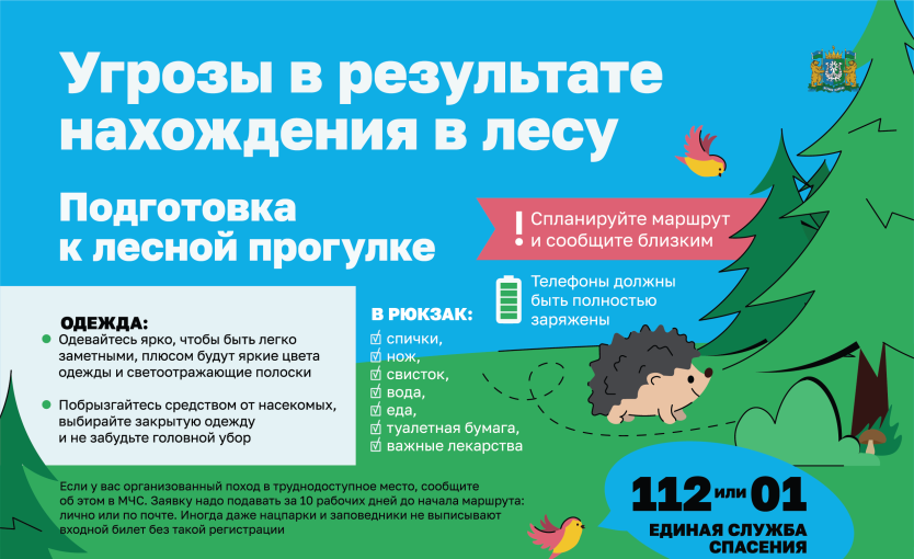Риск для жизни и здоровья при нахождении в лесу Риск для жизни и здоровья при нахождении в лесу.